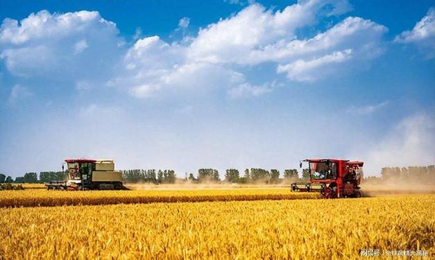 2026年粮食收储新政 中央与地方联动，轮换收储加速推进