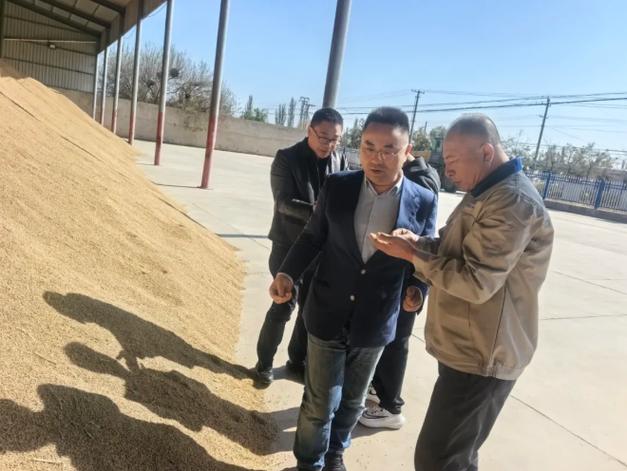 星海原粮基地指导稻谷收储工作 确保粮食颗粒归仓
