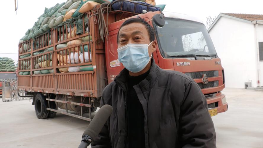 安陆 秋粮收储正当时 颗粒归仓保丰收