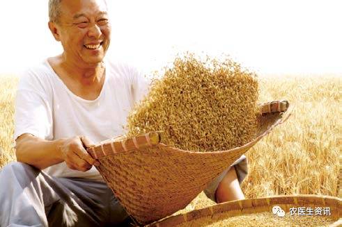 划重点!种粮人及种粮大县,这几大政策需重点关注!