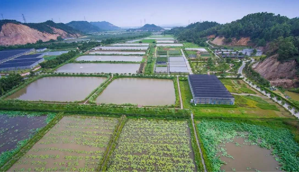 2022年,要提高粮食收储价格?八年之痒,发改委走出关键一步!